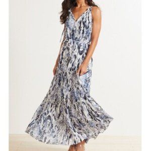 Evereve Blue and White Maxi Dress